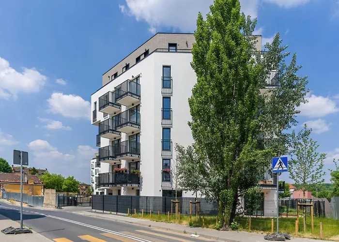 View Garbary By Renters 포즈난